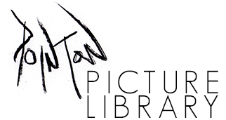 Pointon Picture Library